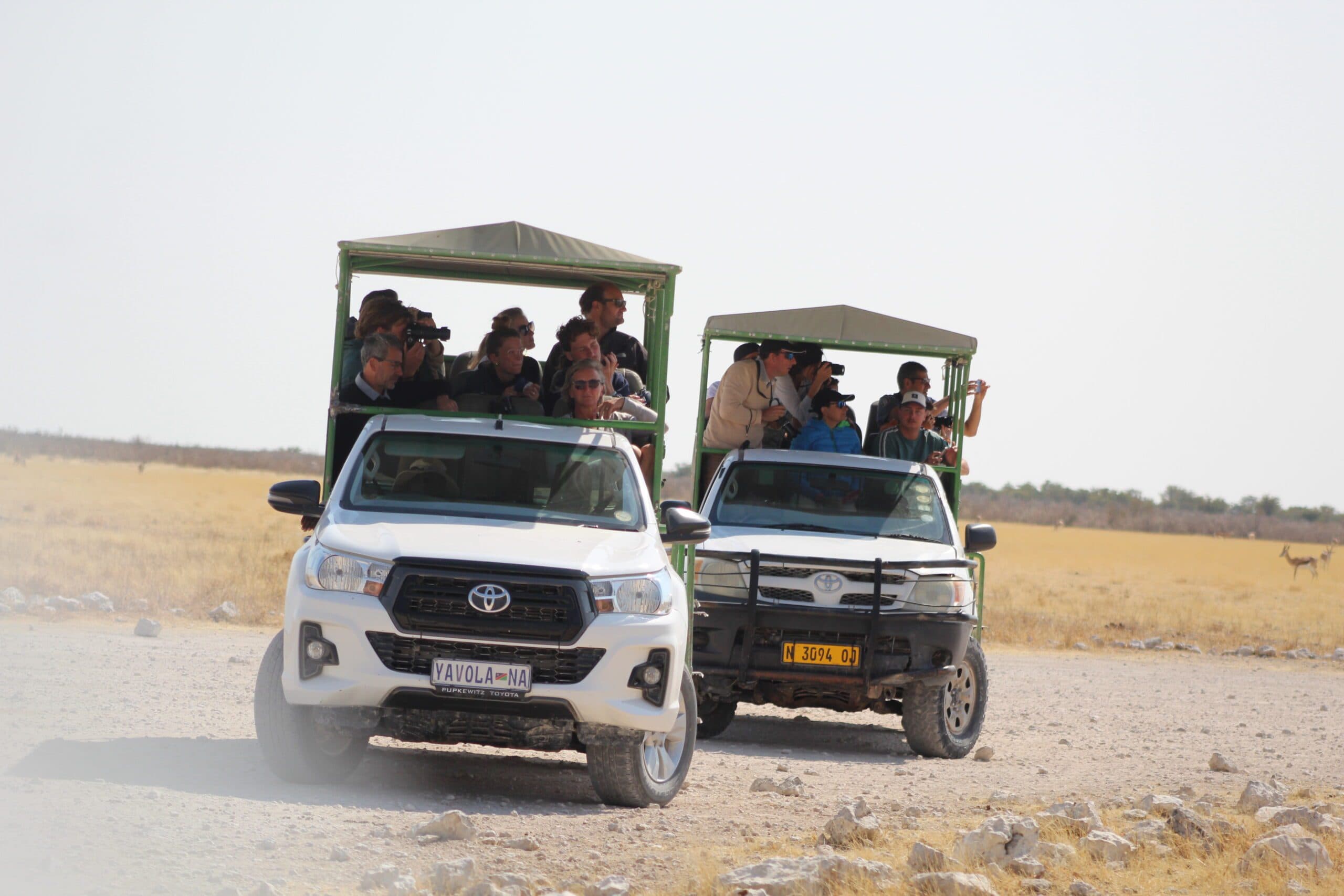 Etosha safari