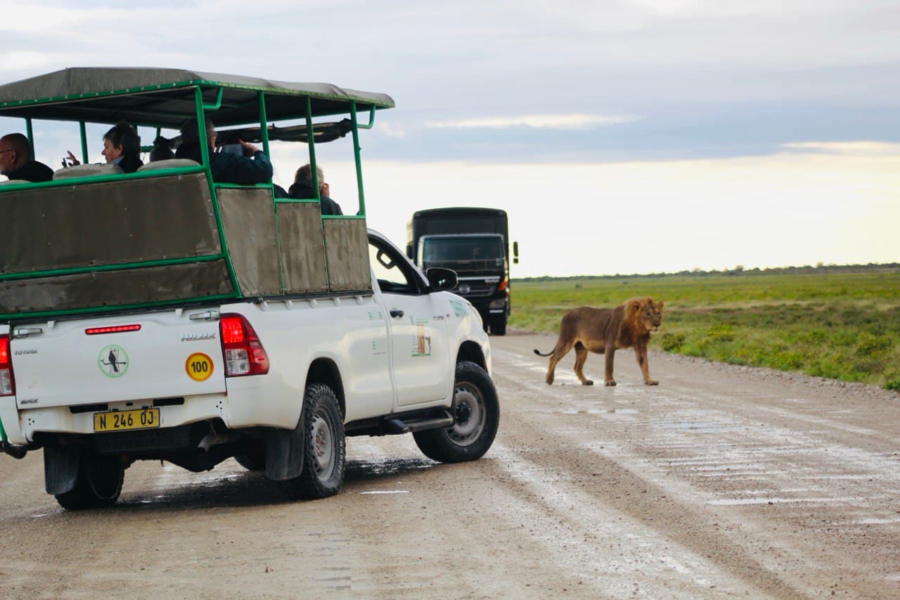 Morning Game Drive